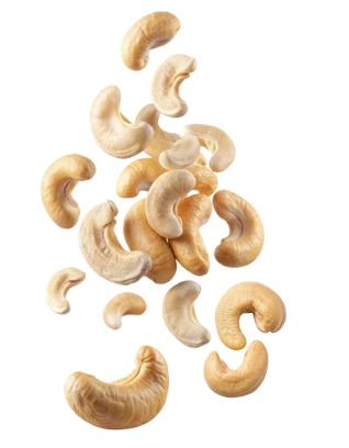 Cashew Nut Processing Machine Manufacturers